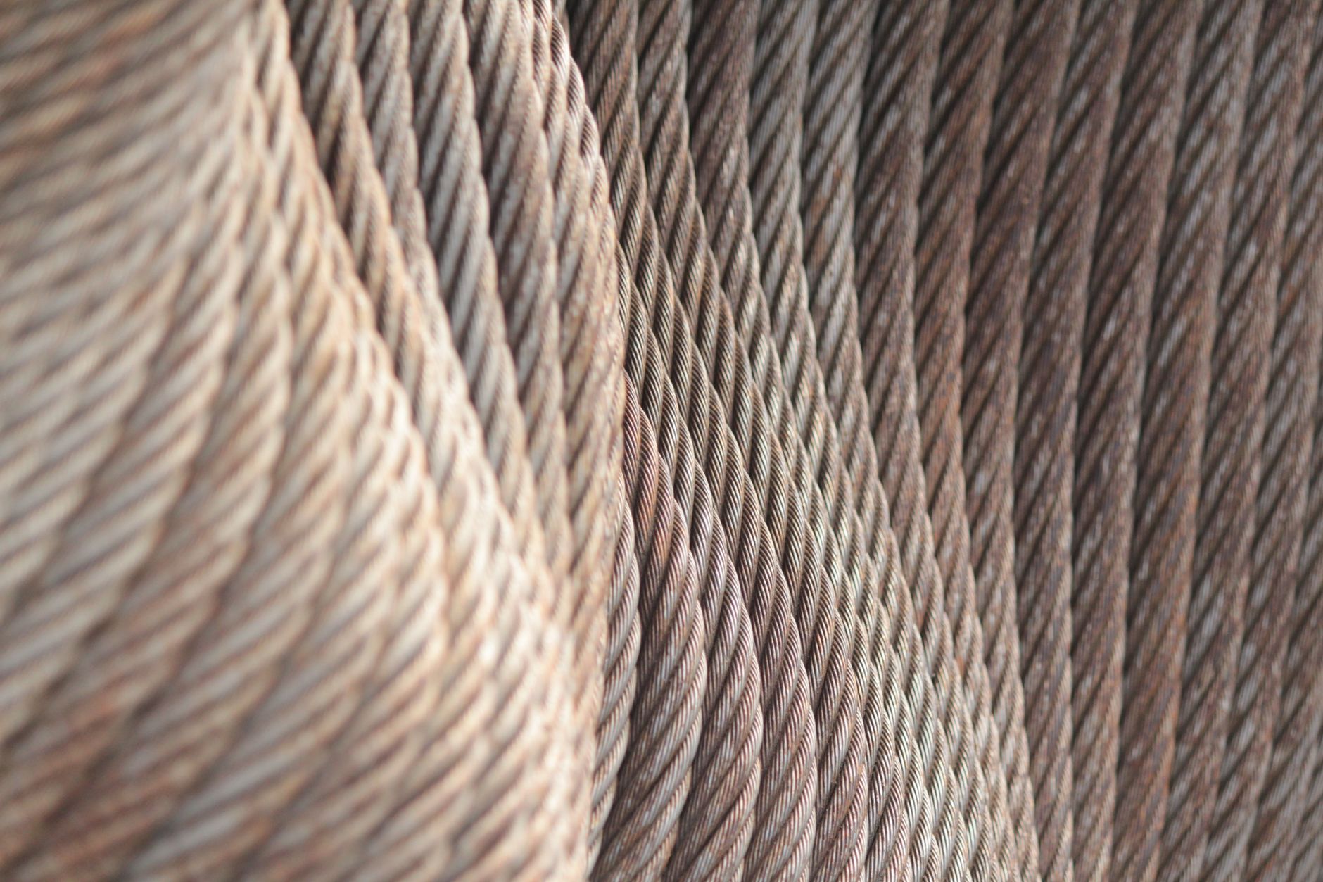 A detailed view of coiled steel cables showcasing a textured abstract pattern.