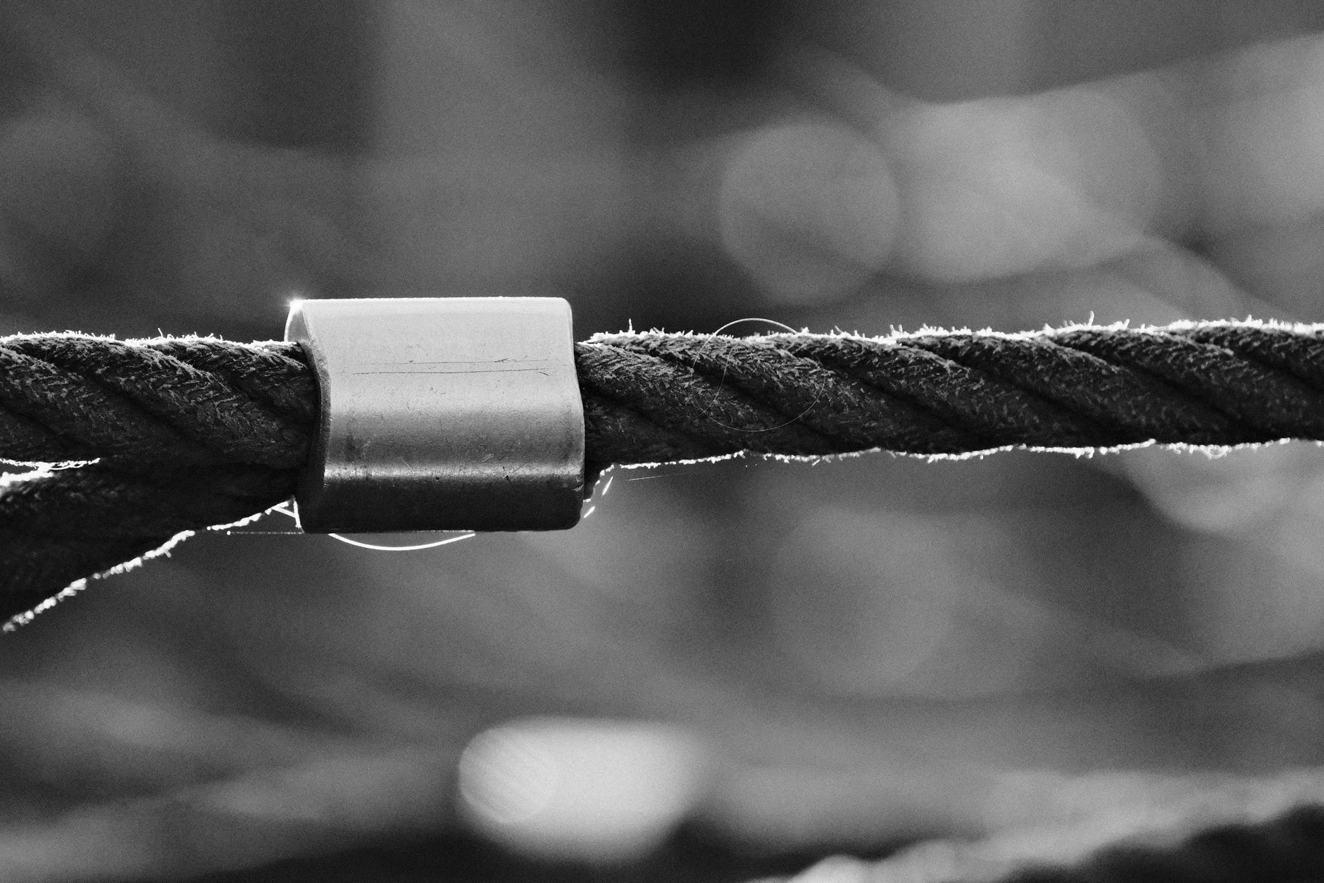 Detailed black and white photo of a metal cable with bokeh background.